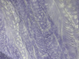 Fawn Lavender Purple - Cuddle Minky Faux Deer Fur Fabric