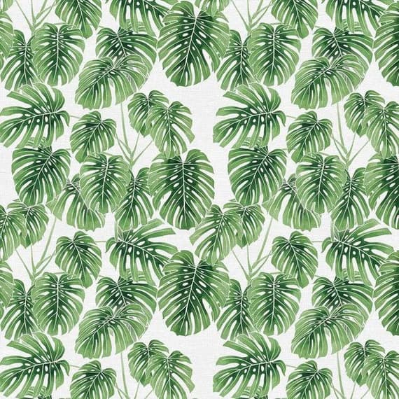 green cotton fabric - Modern Botanicals - Monstera Leaves Green - Paintbrush Studio Cotton Fabrics