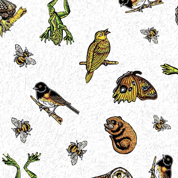 cotton fabric - Night Owl - Clothworks Cotton Fabric