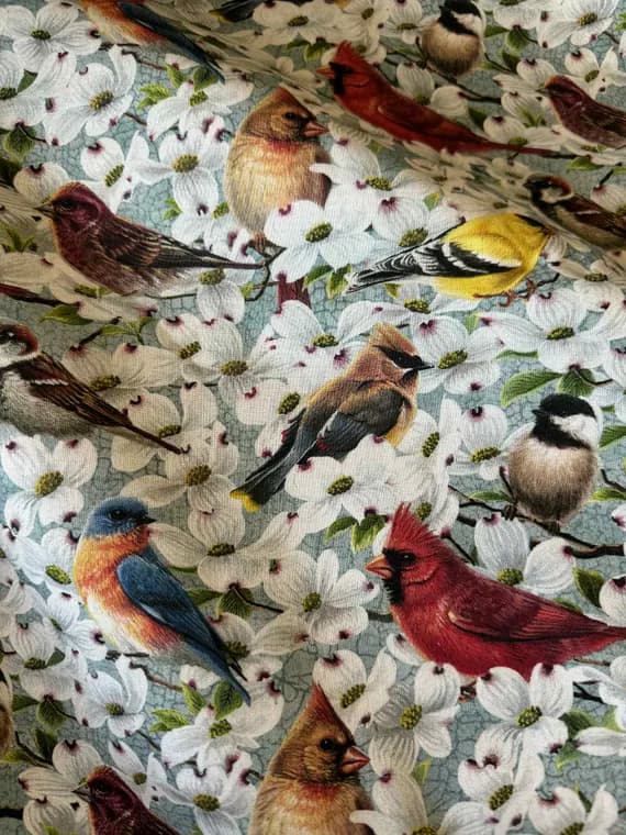 teal cotton fabric - All Over Birds on Light Teal - Joys of Spring - Northcott Studio Cotton Fabrics