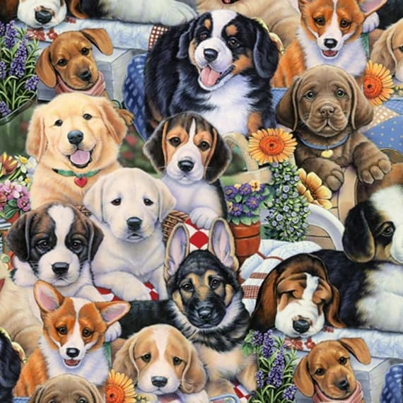 cotton fabric - Garden Puppies - Animal Love - EE Schenck Cotton Fabric