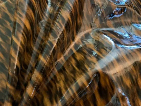 leather - Tiger Stripe Patent Finish Cow Hide Leather 8 Square Feet