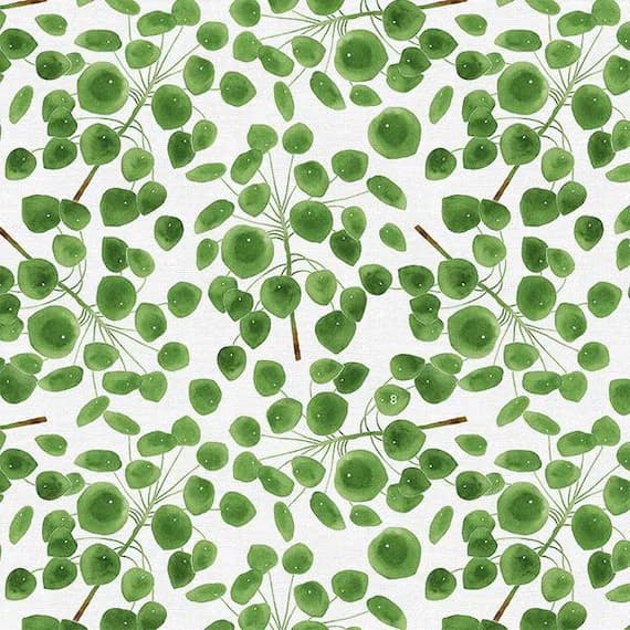 white cotton fabric - Modern Botanicals - Green Pilea on White - Paintbrush Studio Cotton Fabrics