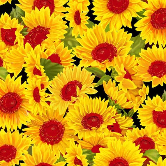 black cotton fabric - Sunflowers on Black - Sunshine & Bumblebees - EE Schenck Cotton Fabric