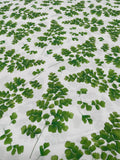 Modern Botanicals - Maidenhair Fern - Paintbrush Studio Cotton Fabrics
