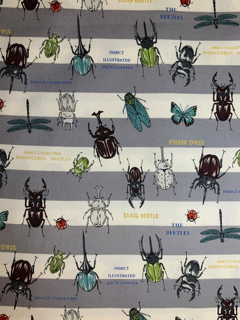 Insect World Gray Stripe - Kokka Japan Cotton Oxford Fabric