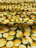 Lemons - Farmer John's Garden Party - Paintbrush Studio 100% Cotton Fabric