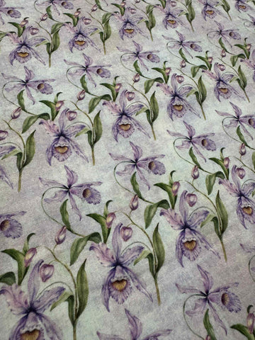 Botanical by In The Beginning 100% Cotton Fabric - Iris Floral