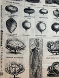 Pumpkin Patch Vegetables Vintage Halloween by J Wecker Frisch Riley Blake Cotton Fabric
