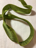 Green Apple Wired Faux Silk Dupioni Ribbon 1.5" wide 2 Yards