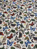 Frolicking Fields Butterflies White- Paintbrush Studio Cotton Fabrics