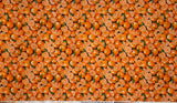 Oranges - Farmer John's Garden Party - Paintbrush Studio 100% Cotton Fabric