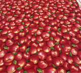 Apples - Farmer John's Garden Party - Paintbrush Studio 100% Cotton Fabric