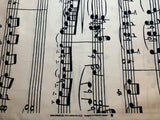 Sheet Music Notes - Music Time - Cosmo Japan Cotton Oxford Fabric