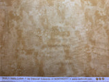 Sugar Cane - Toscana - by Deborah Edwards for Northcott Cotton Fabric