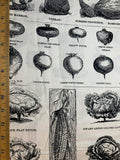 Pumpkin Patch Vegetables Vintage Halloween by J Wecker Frisch Riley Blake Cotton Fabric