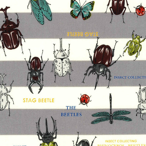 Insect World Gray Stripe - Kokka Japan Cotton Oxford Fabric