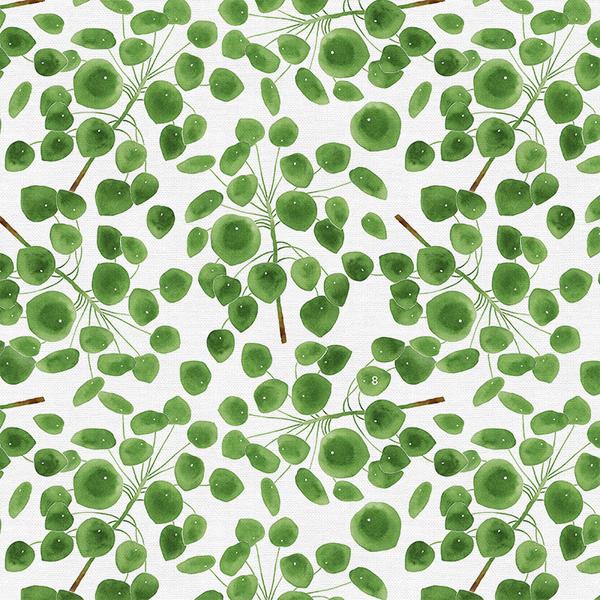 Modern Botanicals - Green Pilea on White - Paintbrush Studio Cotton Fabrics