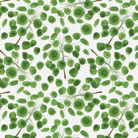Modern Botanicals - Green Pilea on White - Paintbrush Studio Cotton Fabrics