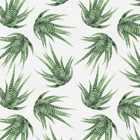 Modern Botanicals - Haworthia Succulent - Paintbrush Studio Cotton Fabrics