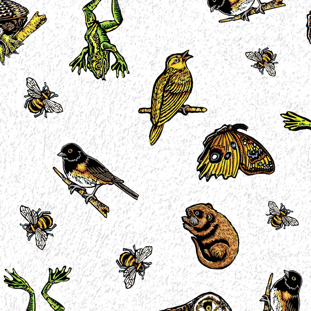 Night Owl - Clothworks Cotton Fabric