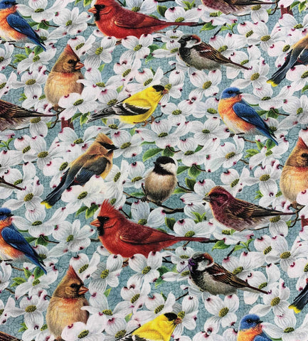 All Over Birds on Light Teal - Joys of Spring - Northcott Studio Fabrics