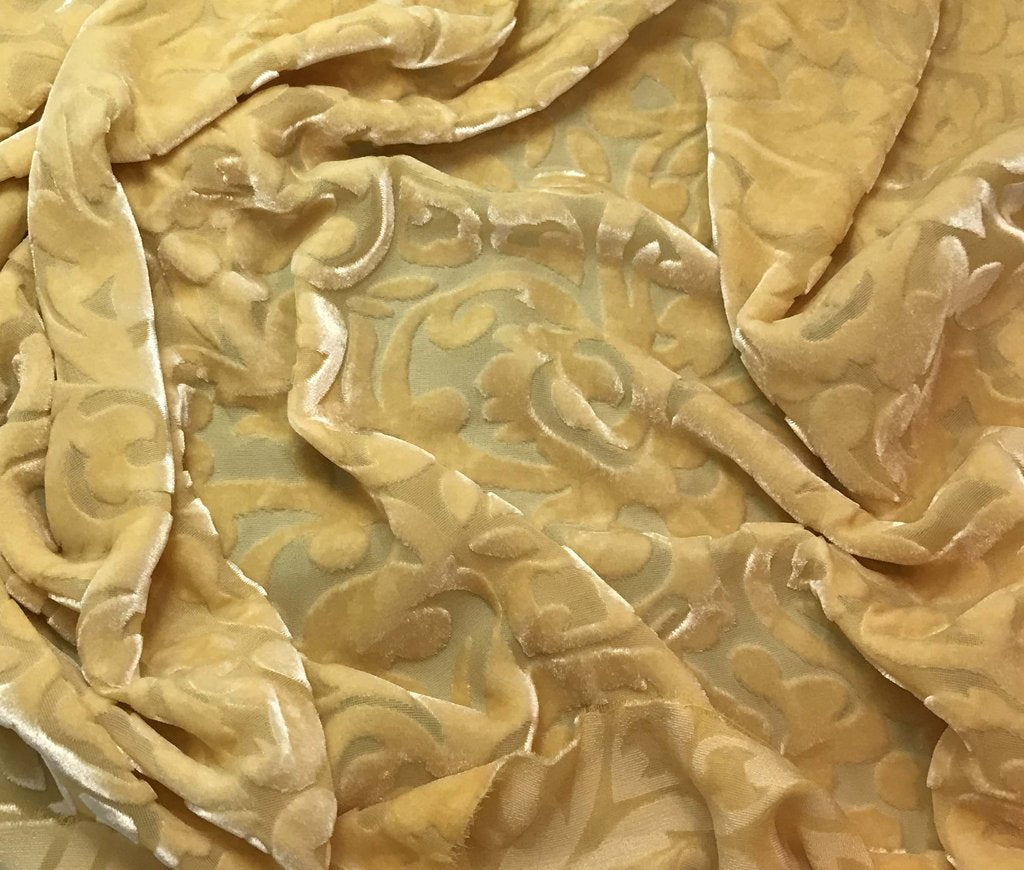 Golden Yellow Scroll - Hand Dyed Burnout Silk Velvet