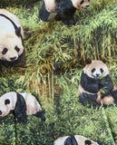 Panda Bears - Born Free - Paintbrush Studio 100% Cotton Fabric