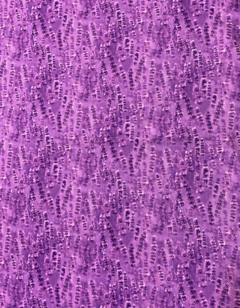 Lilac Lavender - Lavender Fields - Northcott Studio Fabrics
