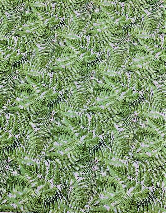 Green Ferns on White - Orchids In Bloom - by Michel Design Works for Northcott Cotton Fabric
