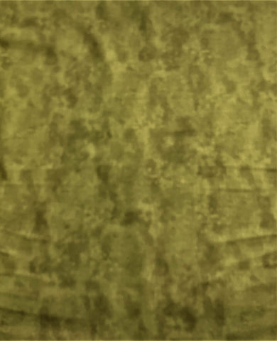 Artichoke Green - Toscana - by Deborah Edwards for Northcott Cotton Fabric
