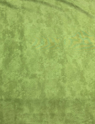 Sagebrush Green - Toscana - by Deborah Edwards for Northcott Cotton Fabric