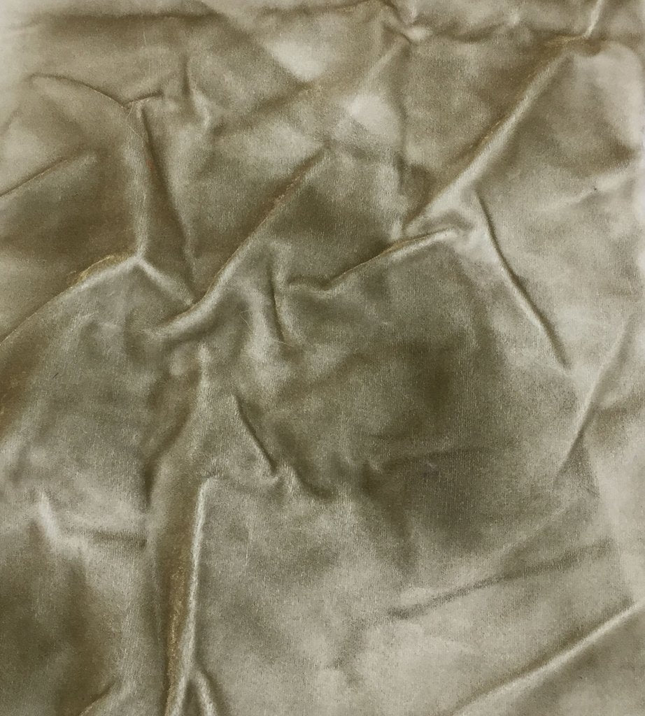 Antique Gold on White - Hand Painted Silk Velvet Fabric